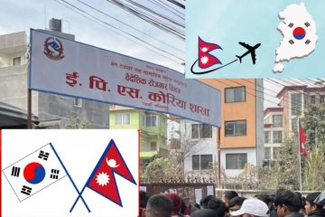कोरियन भाषा परीक्षाको ५ हजार ३०० कोटा आवेदन खुल्यो